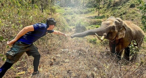 12년 전 자신이 치료해준 코끼리와 우연히 만나 '인사'하는 태국 수의사 파타라폴 마니온[파타라폴 마니온 페이스북 갈무리]